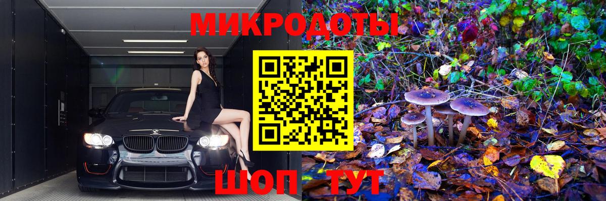 Псилоцибиновые грибы мухоморы Сердобск