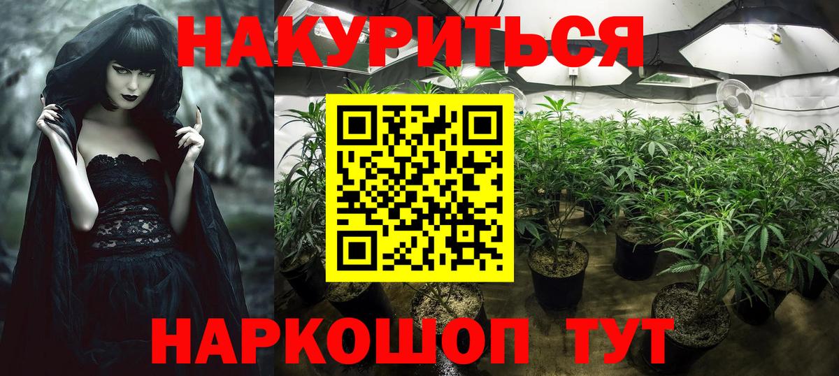 Шишки марихуана конопля Сердобск